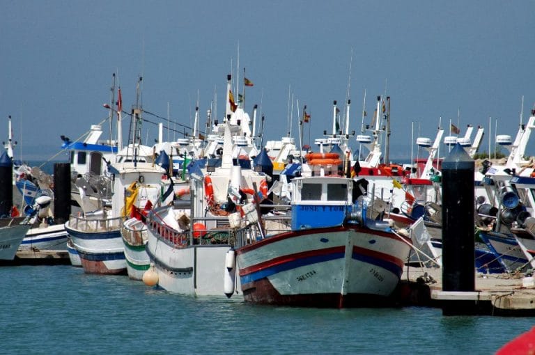 La actualización del acuerdo pesquero entre Marruecos y la UE experimentará posibles trepidaciones