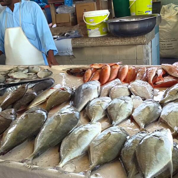 أسعار المواد الغدائية بطنجة تعرف انخفاضا خلال غشت الماضي