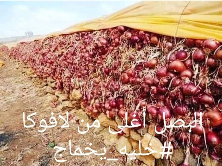 ردا على ارتفاع أسعاره..تطوانيون يطلقون حملة “#خليه_يخماج “