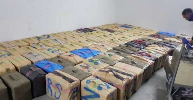 حجز أطنان من الحشيش وتوقيف متورطين في ضيعة بطنجة
