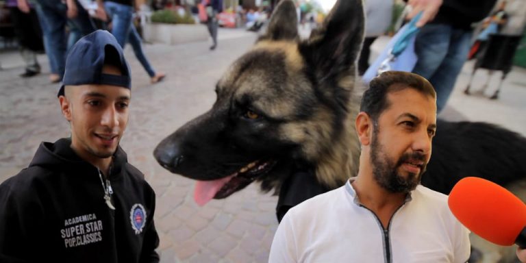 فيديو.. هكذا ينظر المغاربة لتربية الحيوانات في المنزل