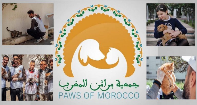 داعية يرد على نصيحة مدافعين عن القطط بالسب والقدف 4 داعية يرد على نصيحة مدافعين عن القطط بالسب والقدف