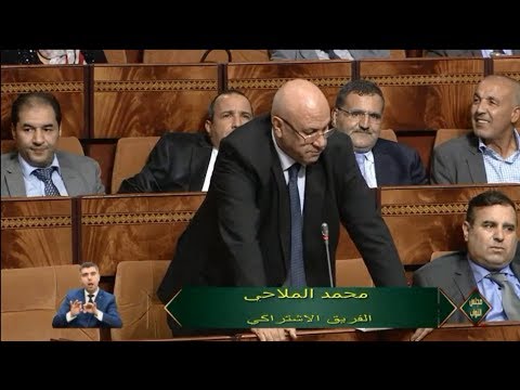 محمد الملاحي يؤكد على أهمية منظومة المستفيدين من برامج الدعم الاجتماعي