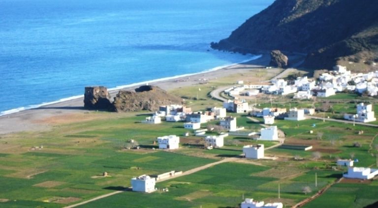 كورونا وحالة الطوارئ تقتل الموسم الصيفي بقرية تارغة الساحلية 4 كورونا وحالة الطوارئ تقتل الموسم الصيفي بقرية تارغة الساحلية