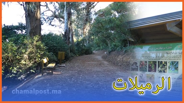 منتزه الرميلات “رئة” مدينة طنجة ومتنفس طبيعي لساكنتها