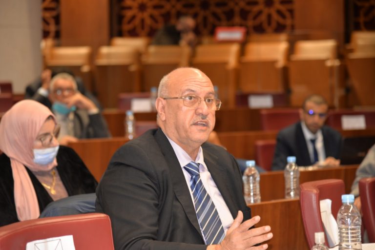 الملاحي : هناك توافق سياسي حول مشروع القانون التنظيمي للانتخابات 9 الملاحي : هناك توافق سياسي حول مشروع القانون التنظيمي للانتخابات