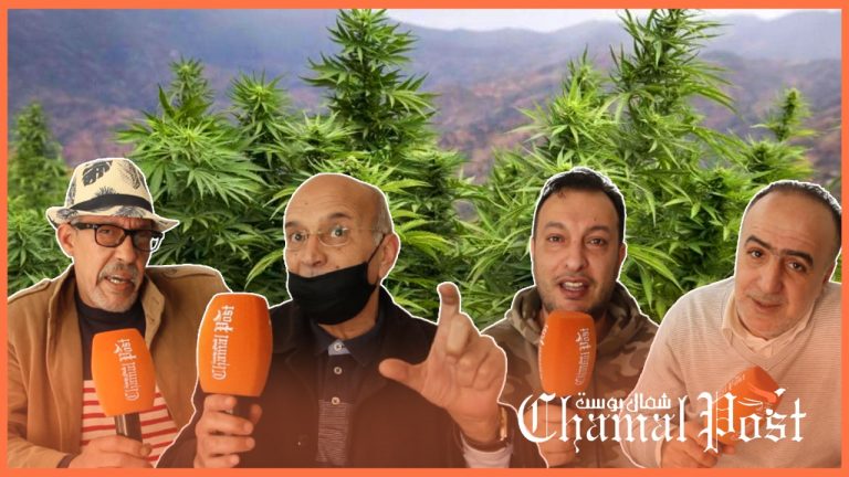 هذا رأي الناس في تقنين زراعة الكيف