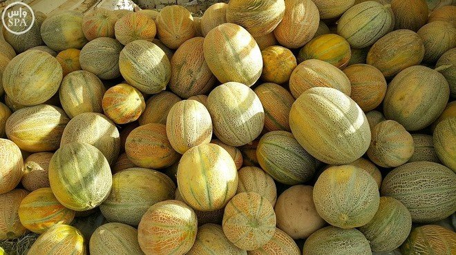 ميناء الجزيرة الخضراء..توقيف شاكلة تقل 18 طن من المخدرات على شاكلة “سويهلة”
