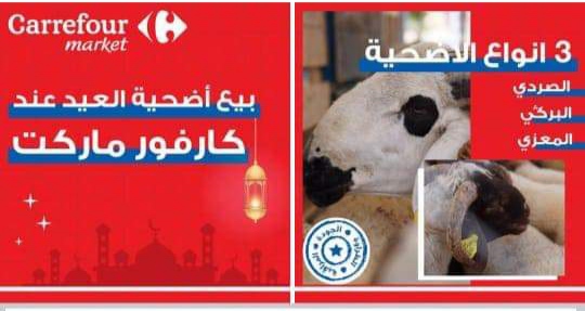 سوق ممتاز يخالف إعلاناته ويتحايل على زبنائه بخصوص إيواء أضحية العيد 5 سوق ممتاز يخالف إعلاناته ويتحايل على زبنائه بخصوص إيواء أضحية العيد