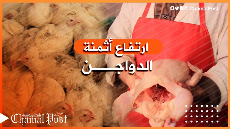 طنجة..تجار يستنكرون الارتفاع المهول في أثمنة الدواجن