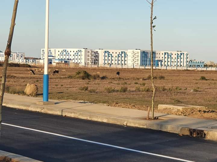 قرب افتتاح الحي الجامعي الجديد بتطوان 2 قرب افتتاح الحي الجامعي الجديد بتطوان