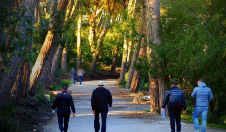 طنجة..إستعدادات  لإحداث منتزه وطني وحديقة للحيوانات