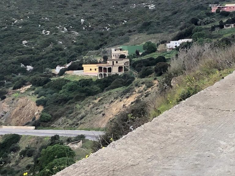انتشار البناء العشوائي بالدالية.. هل تخالف سلطات المنطقة توجهات الوالي "المهيدية"؟ 2 انتشار البناء العشوائي بالدالية.. هل تخالف سلطات المنطقة توجهات الوالي “المهيدية”؟