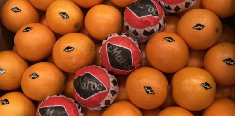 فضيحة رش البرتقال المصدر لهولندا بمواد ممنوعة تصل البرلمان 7 فضيحة رش البرتقال المصدر لهولندا بمواد ممنوعة تصل البرلمان