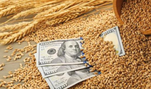 الحرب الأوكرانية ترفع سعر القمح إلى أعلى&hellip;