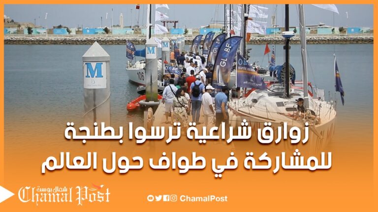 للمشاركة في طواف عالمي.. زوارق شراعية ترسوا بميناء طنجة