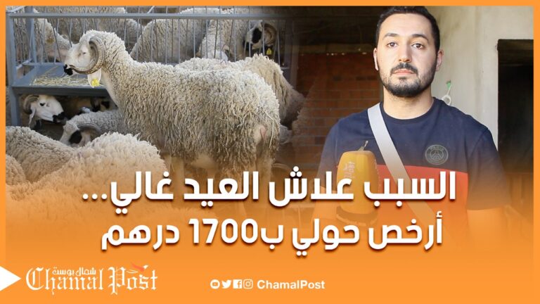 “كساب يكشف سبب غلاء أضحية العيد.. “هاد العام العيد غالي وهادي هي الأثمنة