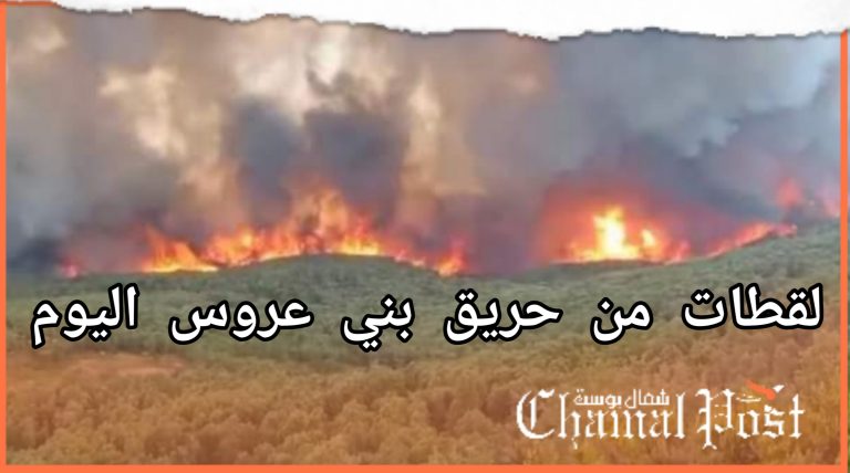 لقطات من الحريق الكبير في بني عروس هذا اليوم