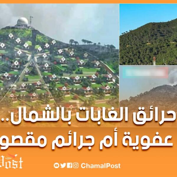 حرائق الغابات بشمال المغرب .. حوادث عفوية أم جرائم مقصودة