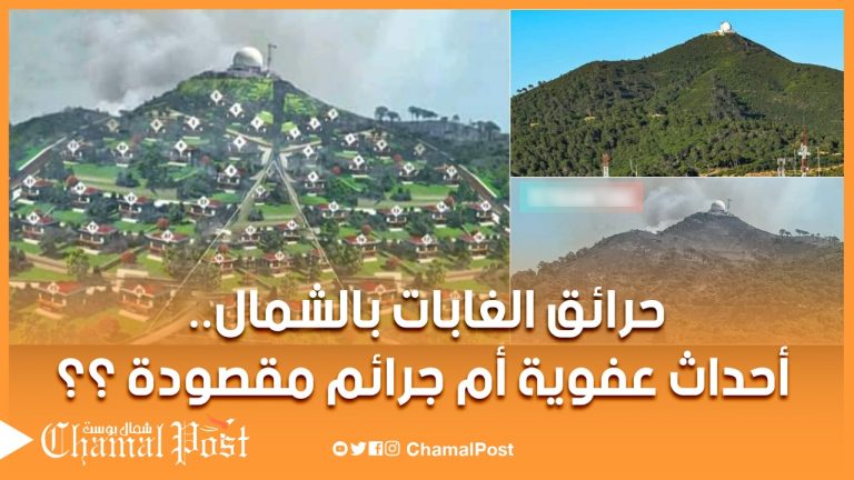 حرائق الغابات بشمال المغرب .. حوادث عفوية أم جرائم مقصودة