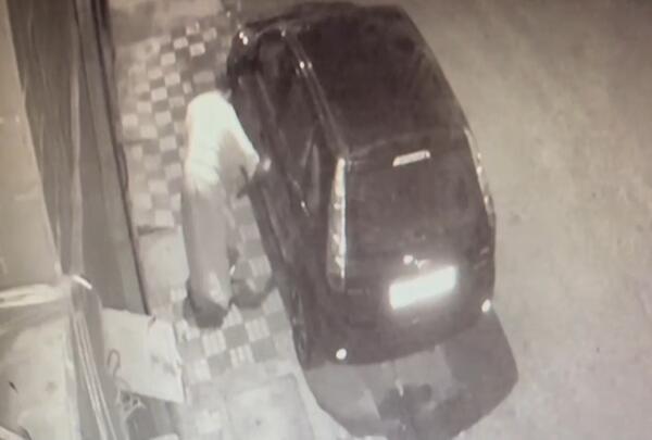 جمعية للدفاع عن الحيوانات بتطوان تقاضي قاتل قطة بكيفية وحشية