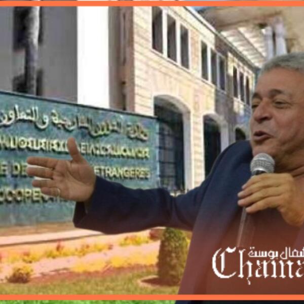 عبد الحميد البجوقي يكتب : الدبلوماسية المغربية.. المكاسب والاخفاقات