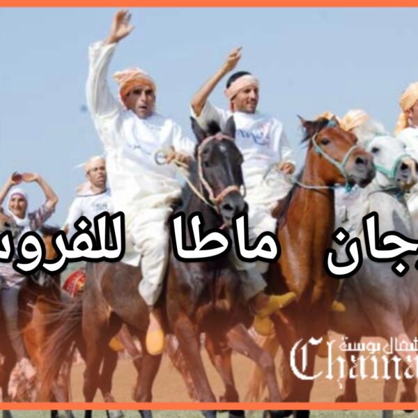 مهرجان ماطا.. بعث الفروسية والحفاظ على الهوية