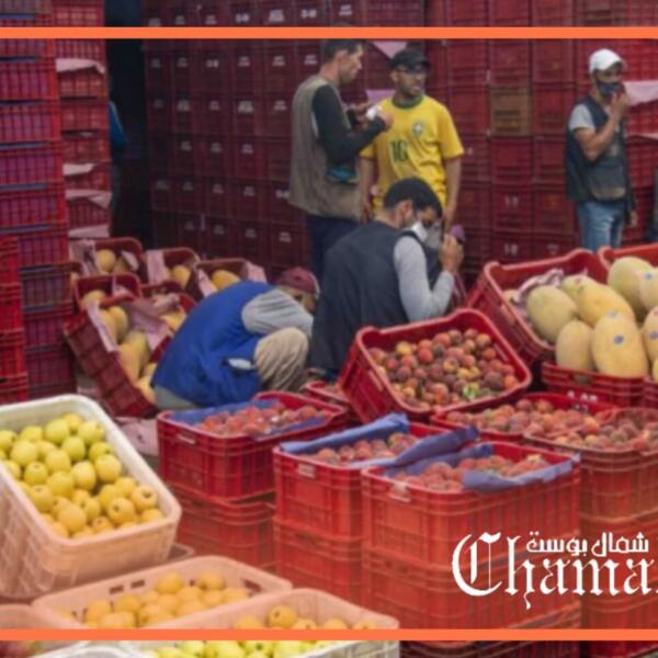 مربعات سوق الجملة.. الريع والامتياز المستعصي على وزارة الداخلية