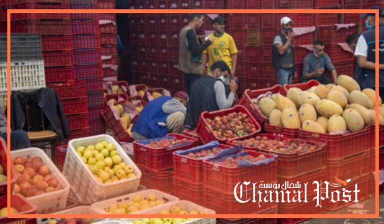 مربعات سوق الجملة.. الريع والامتياز المستعصي على وزارة الداخلية