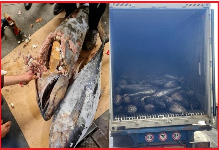 عملية أمنية مشتركة تحبط تهريب كميات ضخمة من الكوكايين بميناء طنجة المتوسط