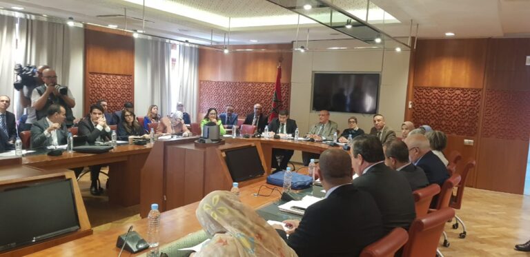 المعارضة البرلمانية تقصف لجنة بنسعيد وترفض التحايل على النص الدستوري 4 المعارضة البرلمانية تقصف لجنة بنسعيد وترفض التحايل على النص الدستوري
