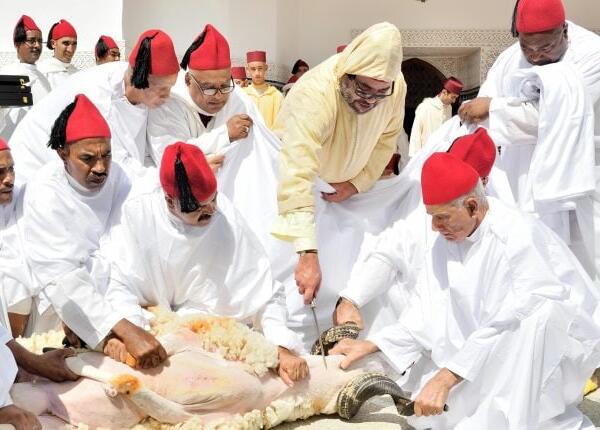 الملك محمد السادس يهيب بالمغاربة عدم إقامة شعيرة ذبح أضحية العيد هذه السنة