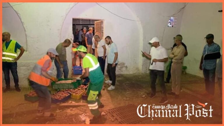السلطات تحجز لحوم وأسماك وأحشاء فاسدة توزع على المواطنين بتطوان