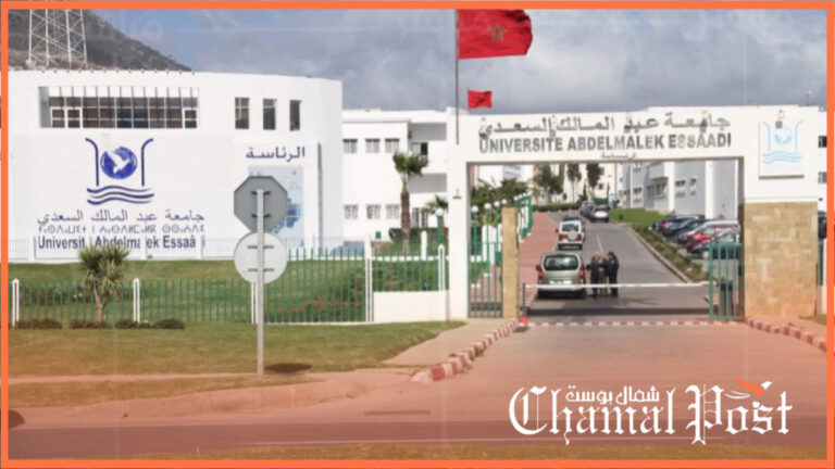 جامعة عبد المالك السعدي تتوفر على 300 مسلك يؤطرها 1347 أستاذ