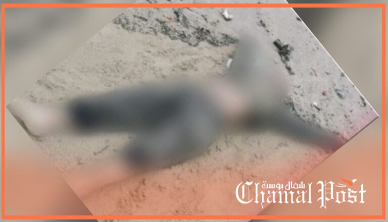 بعدما جرفته سيول وادي بني مكادة.. الشاطئ البلدي يلفظ جثة شاب 3 بعدما جرفته سيول وادي بني مكادة.. الشاطئ البلدي يلفظ جثة شاب