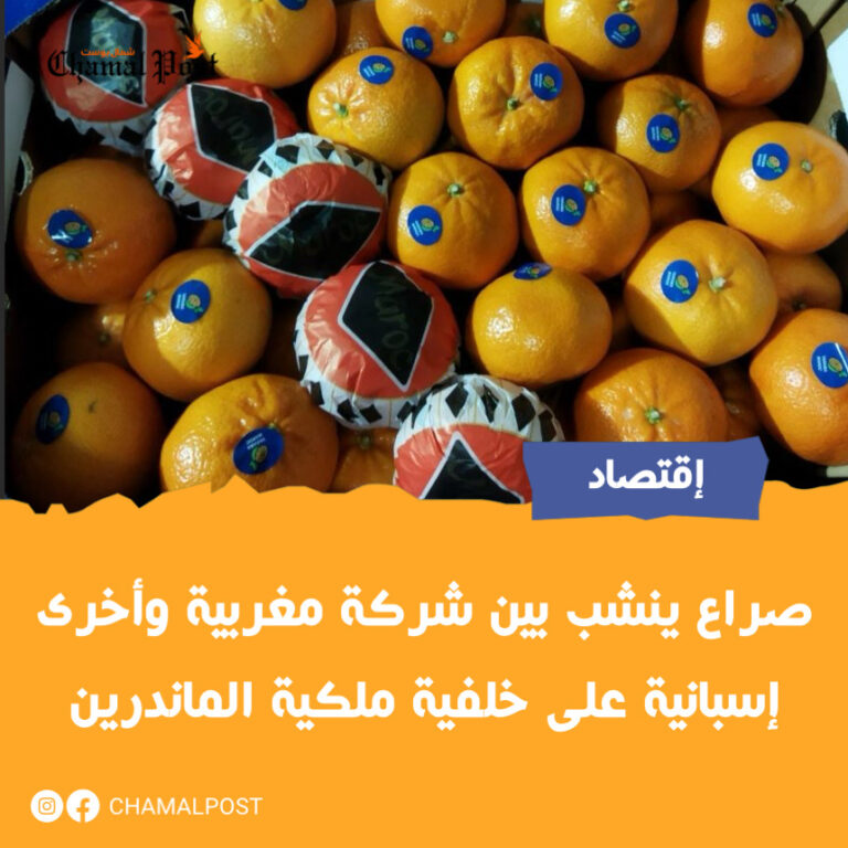 صراع ينشب بين شركة مغربية وأخرى إسبانية على خلفية ملكية الماندرين