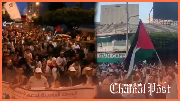 طنجة.. وقفة تضامنية مع الشعب الفلسـ.طيني 🇲🇦🫶🏻🇵🇸