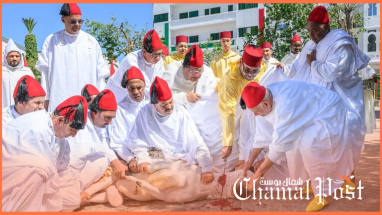 تطوان..أمير المؤمنين الملك محمد السادس يؤدي شعائر العيد وينحر الأضحية 23 تطوان..أمير المؤمنين الملك محمد السادس يؤدي شعائر العيد وينحر الأضحية