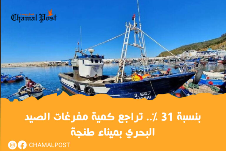 بنسبة 31 %.. تراجع كمية مفرغات الصيد البحري بميناء طنجة