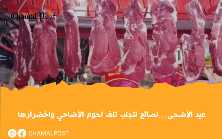 عيد الأضحى…نصائح لتجنب تلف لحوم الأضاحي واخضرارها 21 عيد الأضحى…نصائح لتجنب تلف لحوم الأضاحي واخضرارها