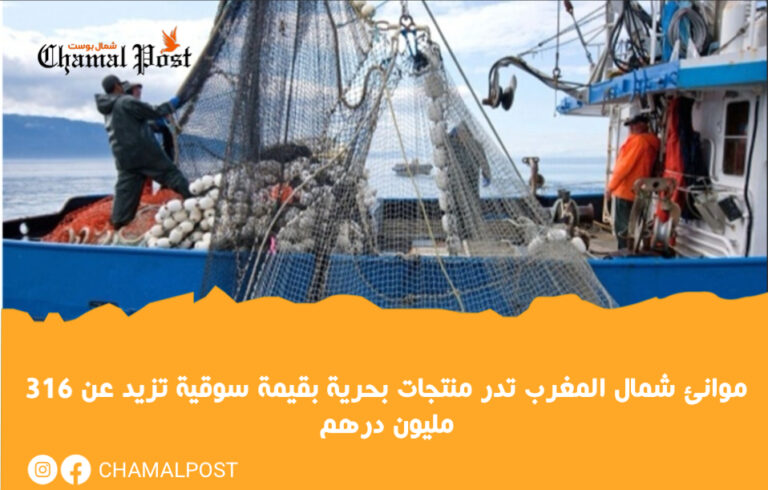 موانئ شمال المغرب تدر منتجات بحرية بقيمة سوقية تزيد عن 316 مليون درهم 13 موانئ شمال المغرب تدر منتجات بحرية بقيمة سوقية تزيد عن 316 مليون درهم