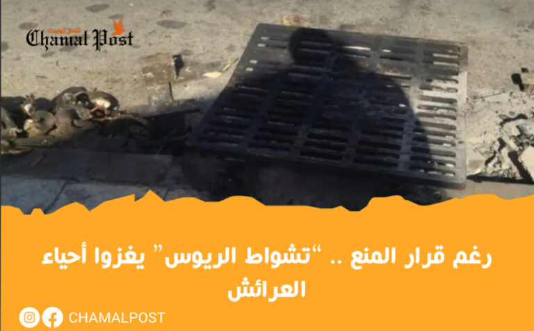 رغم قرار المنع .. “تشواط الريوس” يغزوا أحياء العرائش 4 رغم قرار المنع .. “تشواط الريوس” يغزوا أحياء العرائش