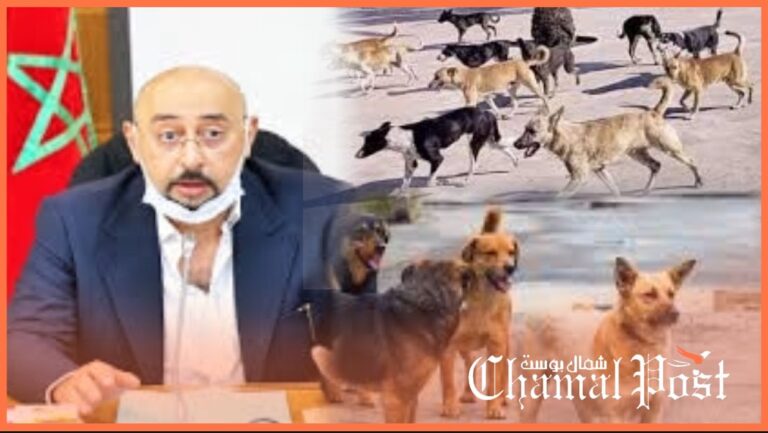 جماعة "الليموري" في حرج كبير..كلب يعض سائحا أجنبيا في أول يوم من زيارته لطنجة 5 جماعة “الليموري” في حرج كبير..كلب يعض سائحا أجنبيا في أول يوم من زيارته لطنجة