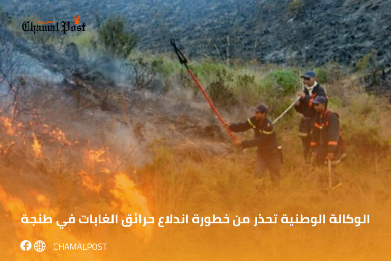 الوكالة الوطنية تحذر من خطورة اندلاع حرائق الغابات في طنجة 4 الوكالة الوطنية تحذر من خطورة اندلاع حرائق الغابات في طنجة