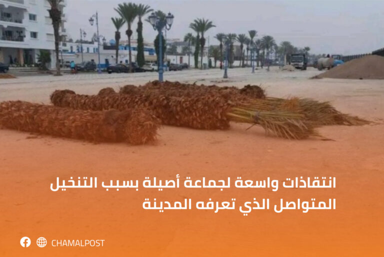 انتقاذات واسعة لجماعة أصيلة بسبب التنخيل المتواصل الذي تعرفه المدينة 3 انتقاذات واسعة لجماعة أصيلة بسبب التنخيل المتواصل الذي تعرفه المدينة