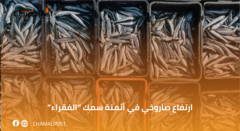 ارتفاع صاروخي في أثمنة سمك "الفقراء" 3 ارتفاع صاروخي في أثمنة سمك “الفقراء”
