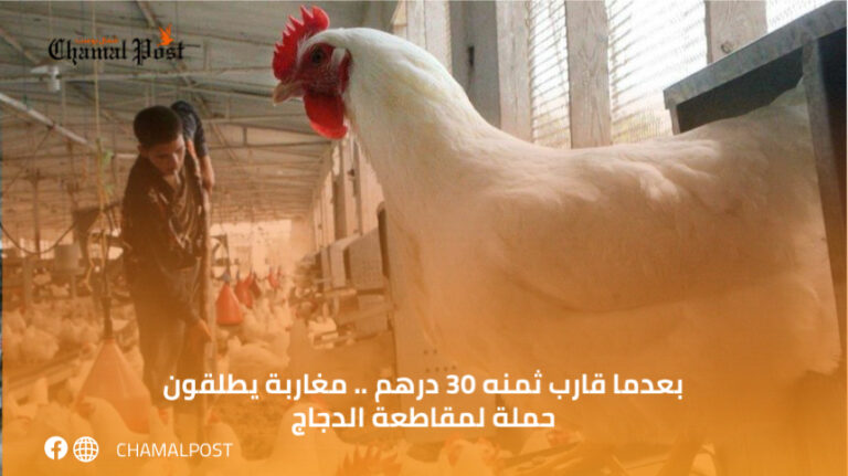 بعدما قارب ثمنه 30 درهم .. مغاربة يطلقون حملة لمقاطعة الدجاج 2 بعدما قارب ثمنه 30 درهم .. مغاربة يطلقون حملة لمقاطعة الدجاج
