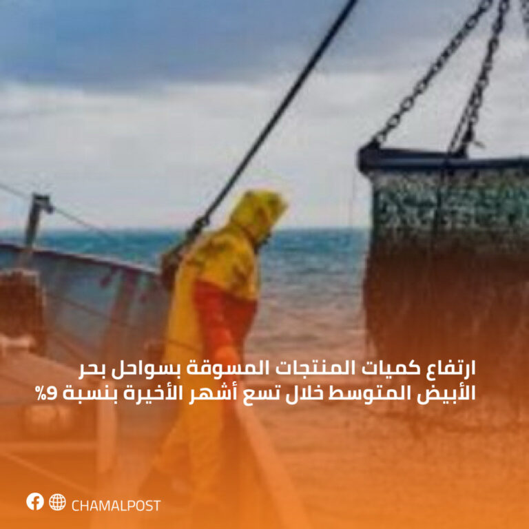 ارتفاع كميات المنتجات المسوقة بسواحل بحر الأبيض المتوسط خلال تسع أشهر الأخيرة بنسبة 9%