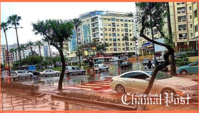 خلال 24 ساعة: طنجة في صدارة المناطق المستقبلة للتساقطات ب44 ميلمترا