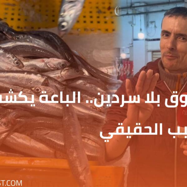 السوق بلا سردين.. الباعة يكشفون السبب الحقيقي
